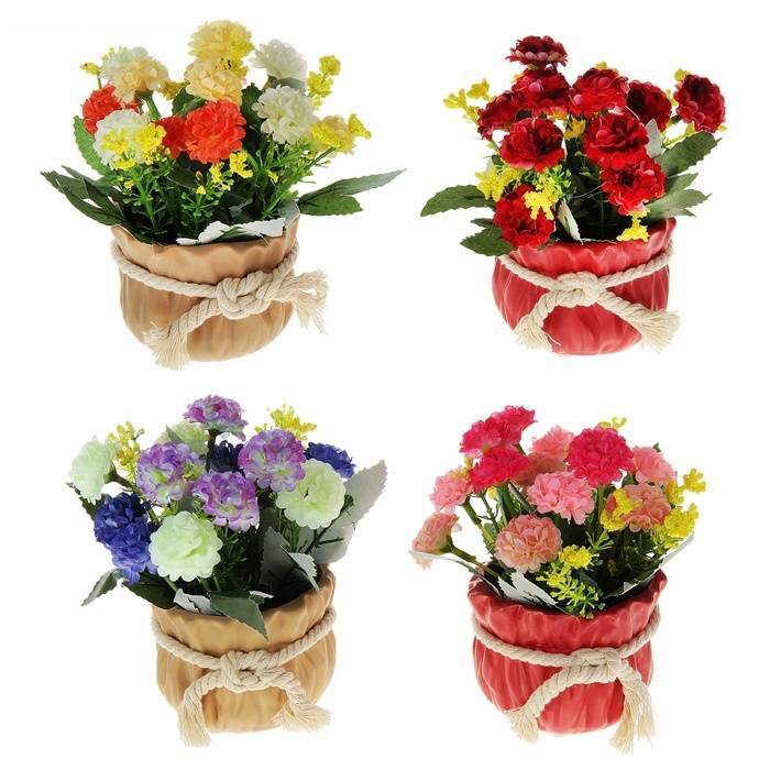 Какой комнатный цветок лучше подарить? как выбрать цветок на подарок, какие цветы нельзя дарить