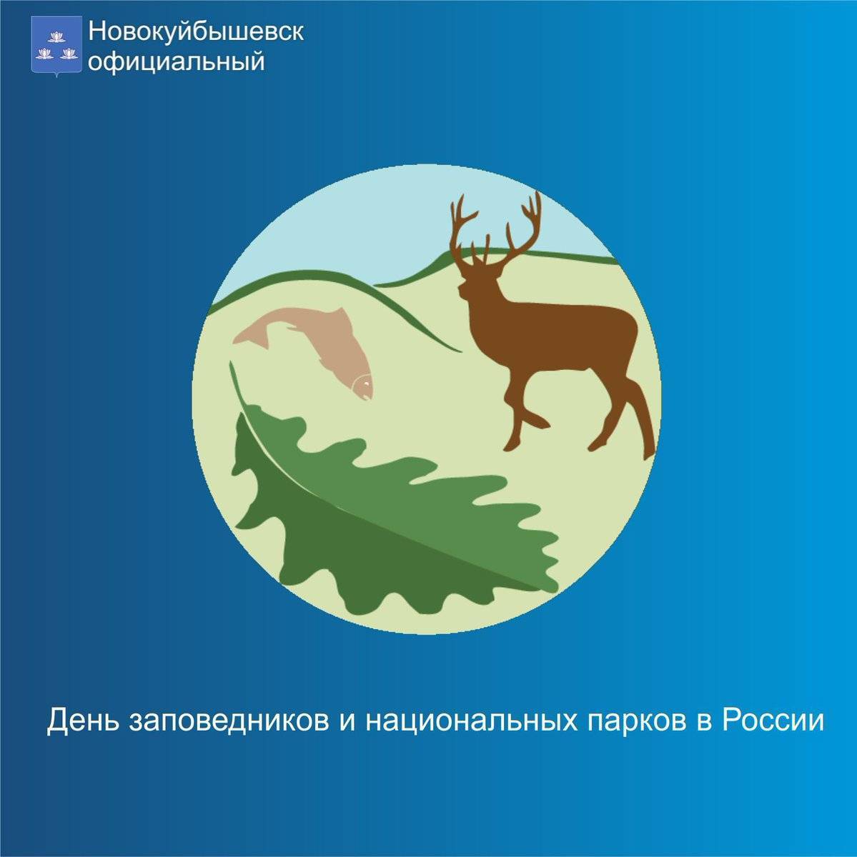 День заповедников и национальных парков в россии в 2022 году: какого числа, дата и история праздника