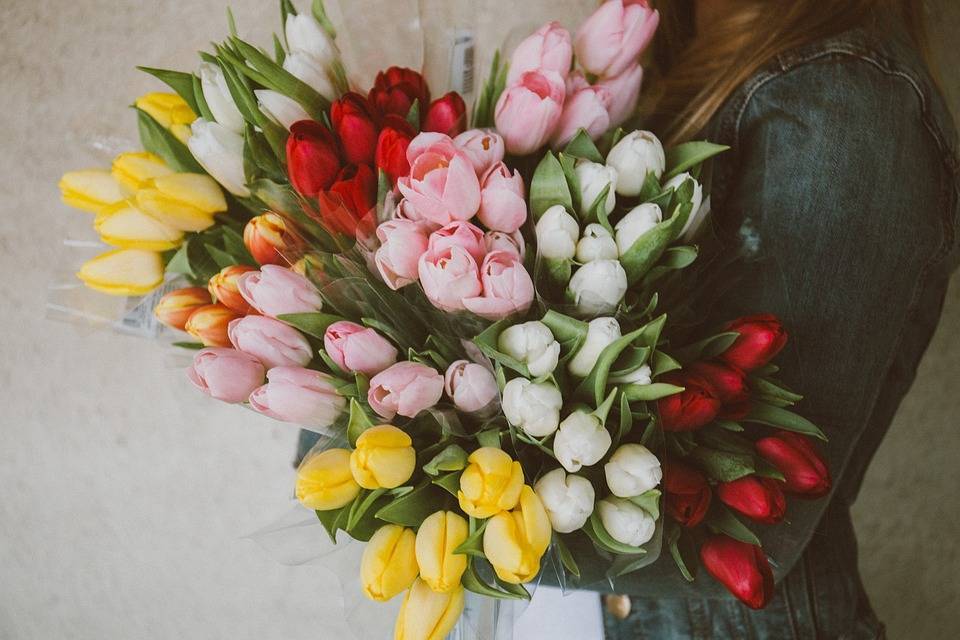 О чем символизируют цвета тюльпанов в букете на языке цветов? какого цвета тюльпаны подарить девушке?