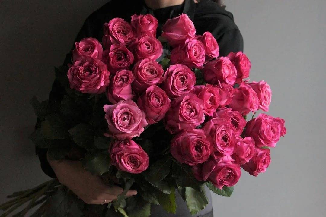 Прекраснейший из цветков: лучшие статусы про розы для соцсетей