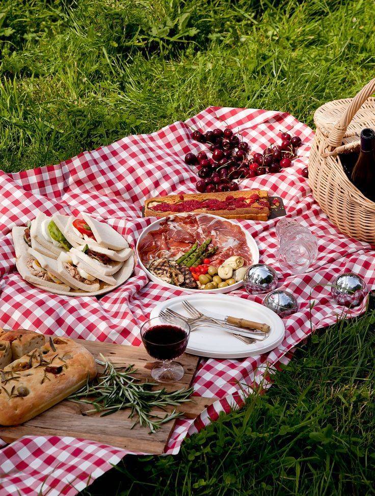 Закуски на природу - фото с рецептами холодных блюд на пикник и к шашлыку