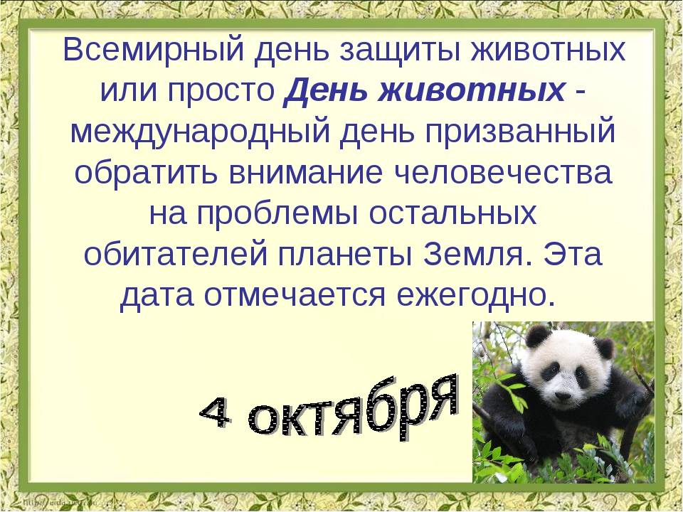 Всемирный день домашних животных и день их стерилизации, а также аналогичные праздники в россии