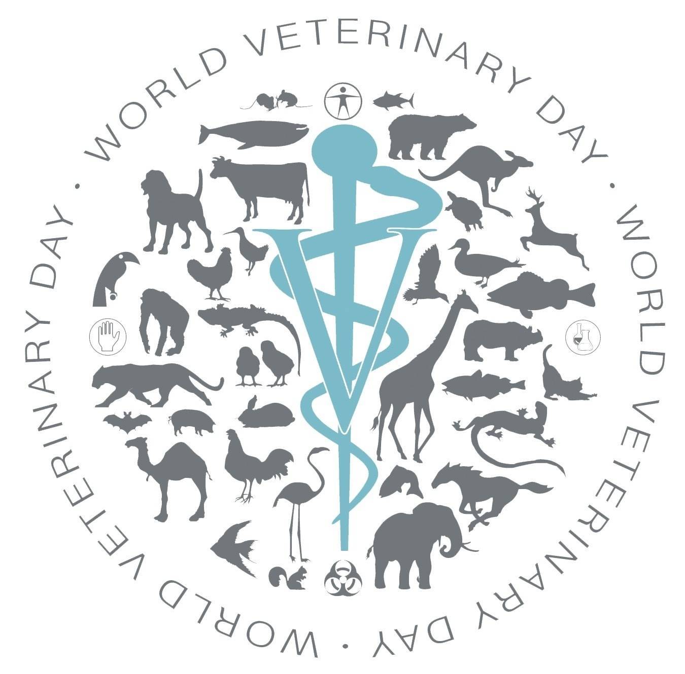 Международный день ветеринарного врача - поздравления с днем ветеринара