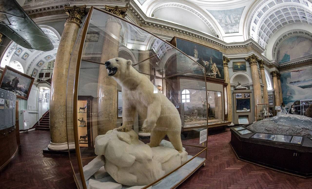 Музей двух полюсов - портал культура петербурга