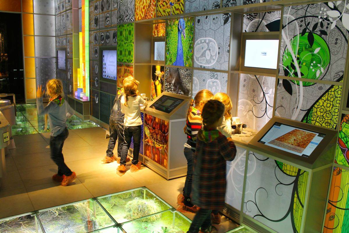 Самые интересные детские музеи в Москве