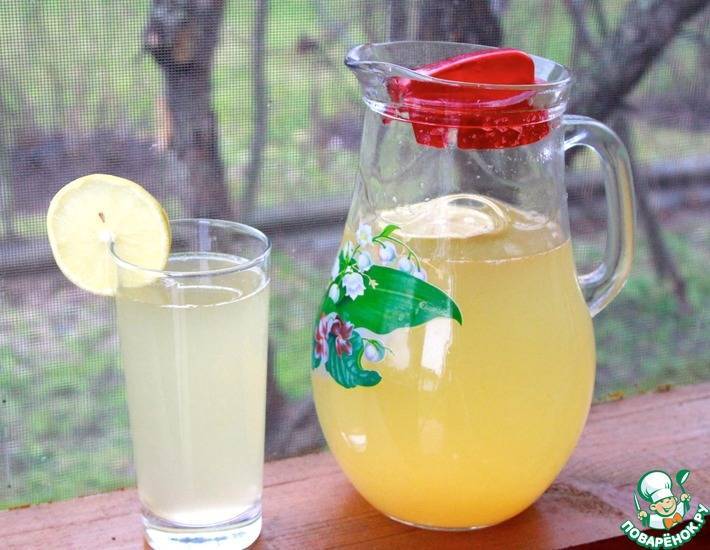 6 бодрящих домашних лимонадов для жаркого дня - горящая изба
