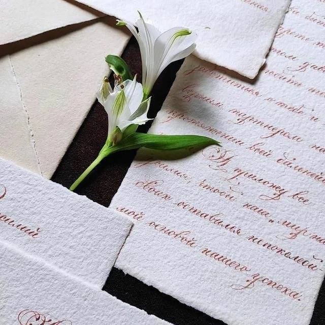 Отзывы