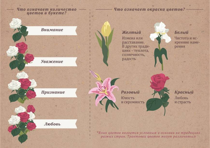 Красные и розовые розы - что означают на языке цветов