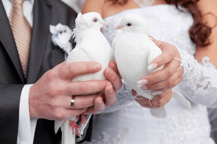 Какие приметы на свадьбу самые актуальные?