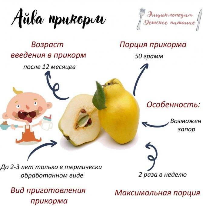 Айва - полезные свойства и противопоказания. как едят айву, рецепты. выращивание айвы: посадка и уход