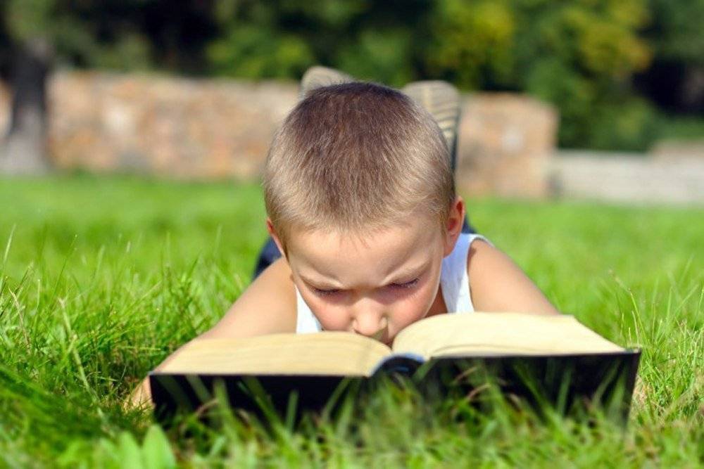 Десять книг, которые научат ребенка программированию | rusbase
