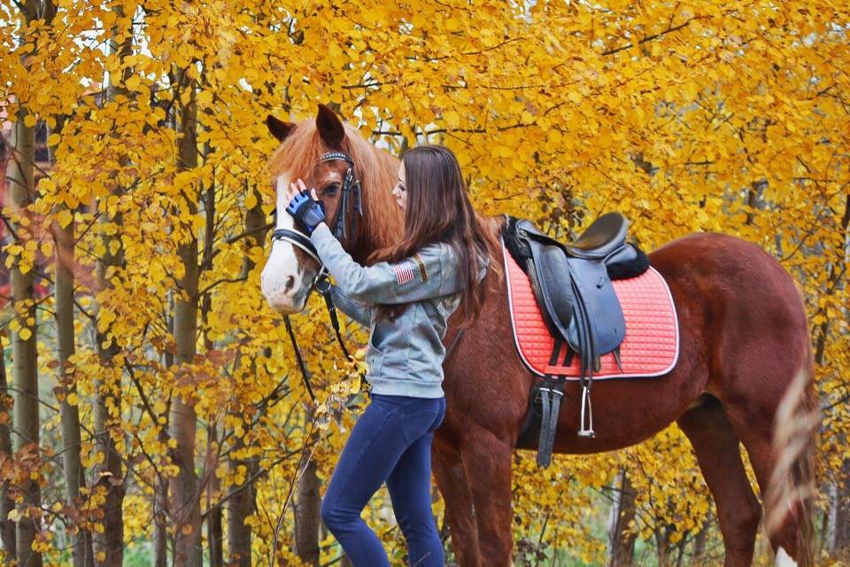 Как заказать прогулку на лошадях в день рождения? лучший подарок на день рождения: романтическая конная прогулка +фото и видео