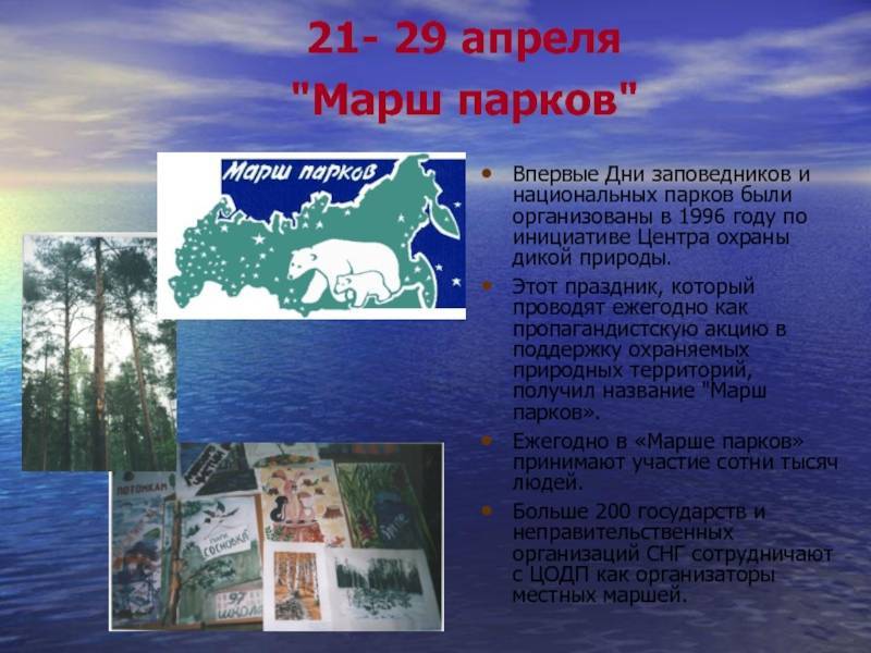 День заповедников и национальных парков россии — когда и какого числа отмечают в 2022 и 2023 году. дата и история праздника — мир космоса