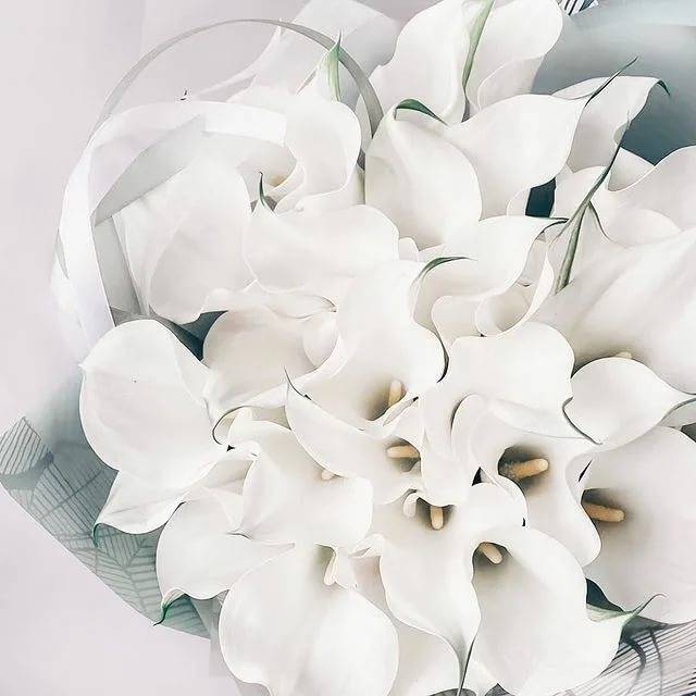 Букет невесты из калл – идеи на свадьбу с розами, орхидеями и другими цветами 2021 + фото