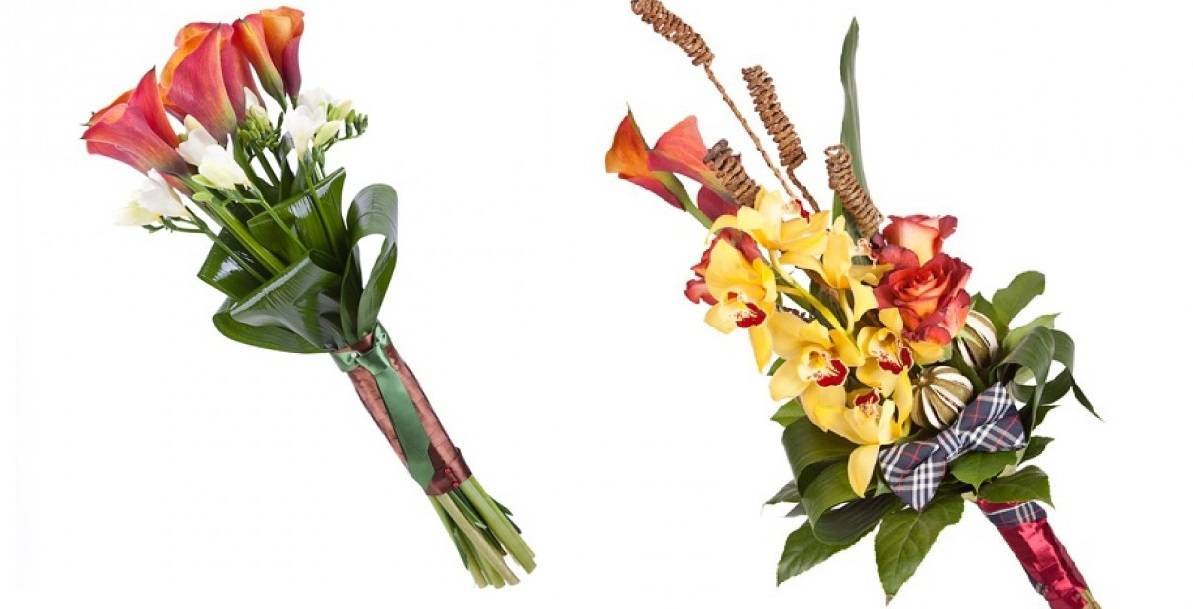 Какие цветы дарят мужчинам: подборки букетов и правила этикета