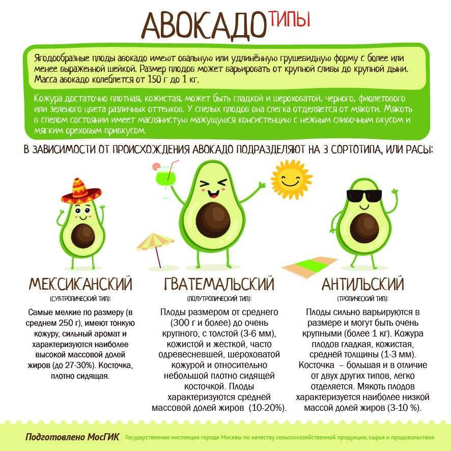 Можно ли давать авокадо детям: с какого возраста и сколько?