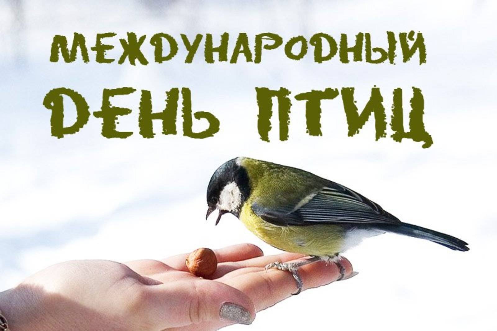 1 апреля — всемирный день птиц