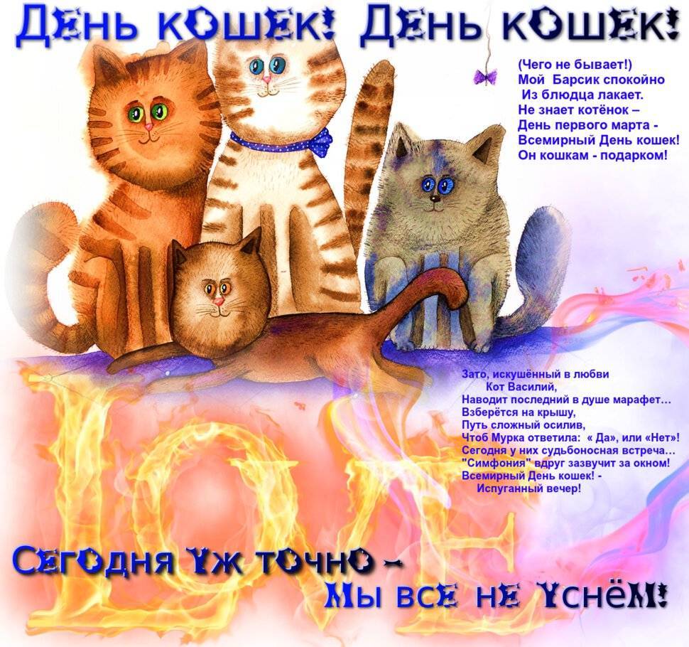 Календарь кошачьих праздников