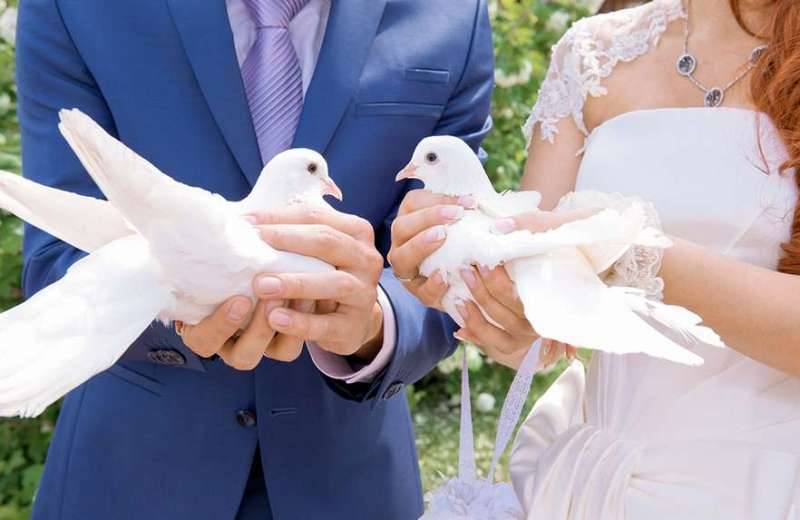 Традиция выпускать голубей на свадьбе
