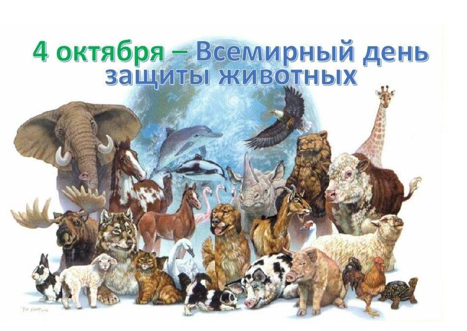 Праздник наших «братьев меньших» – день животных
