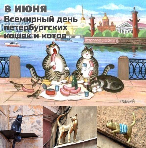 День кошек в россии и мире