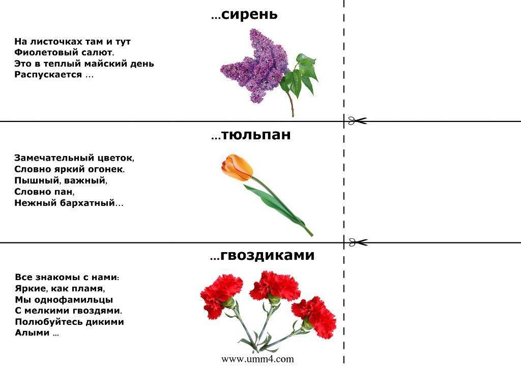Загадки про цветы для детей с ответами короткие
