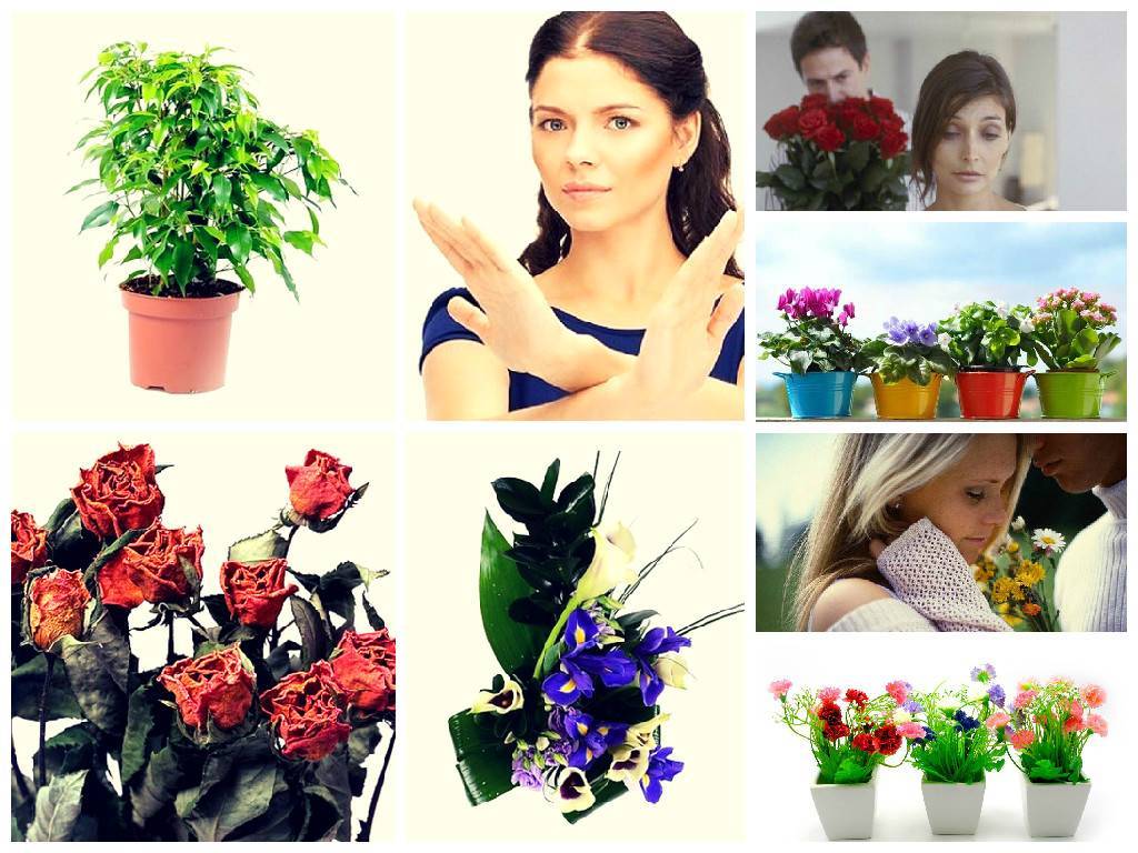 Какие цветы подарить девушке – выбираем идеальный букет