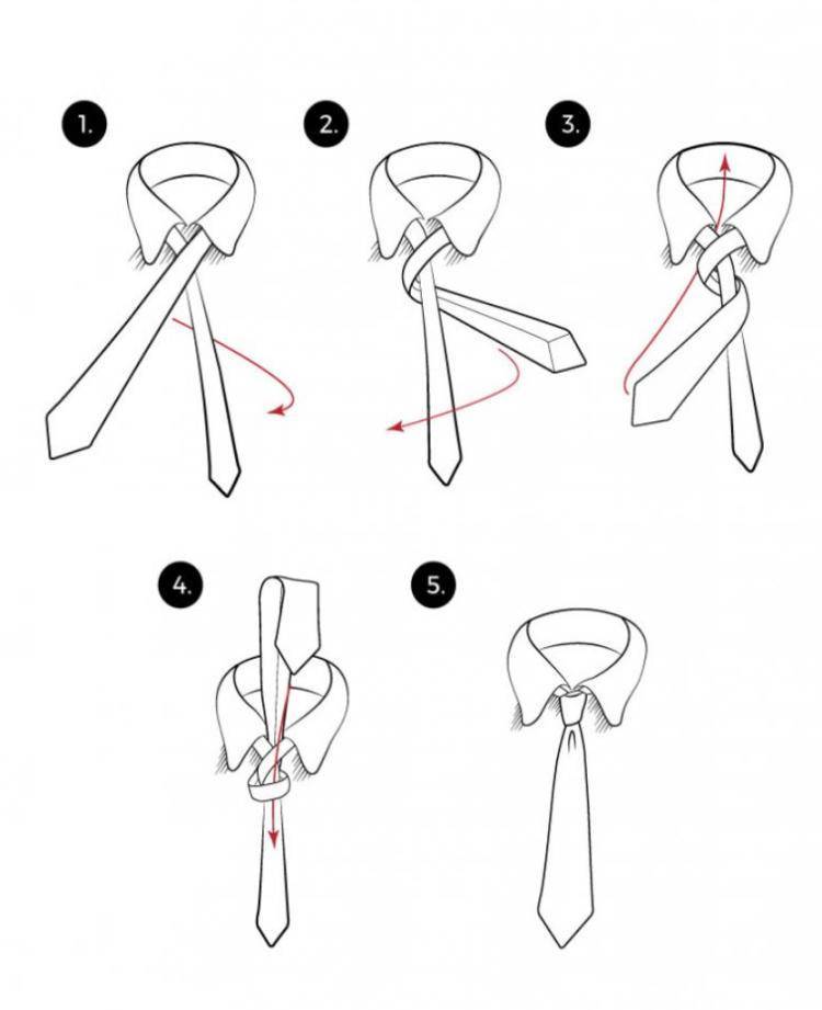 Завязать правильно галстук пошаговая инструкция