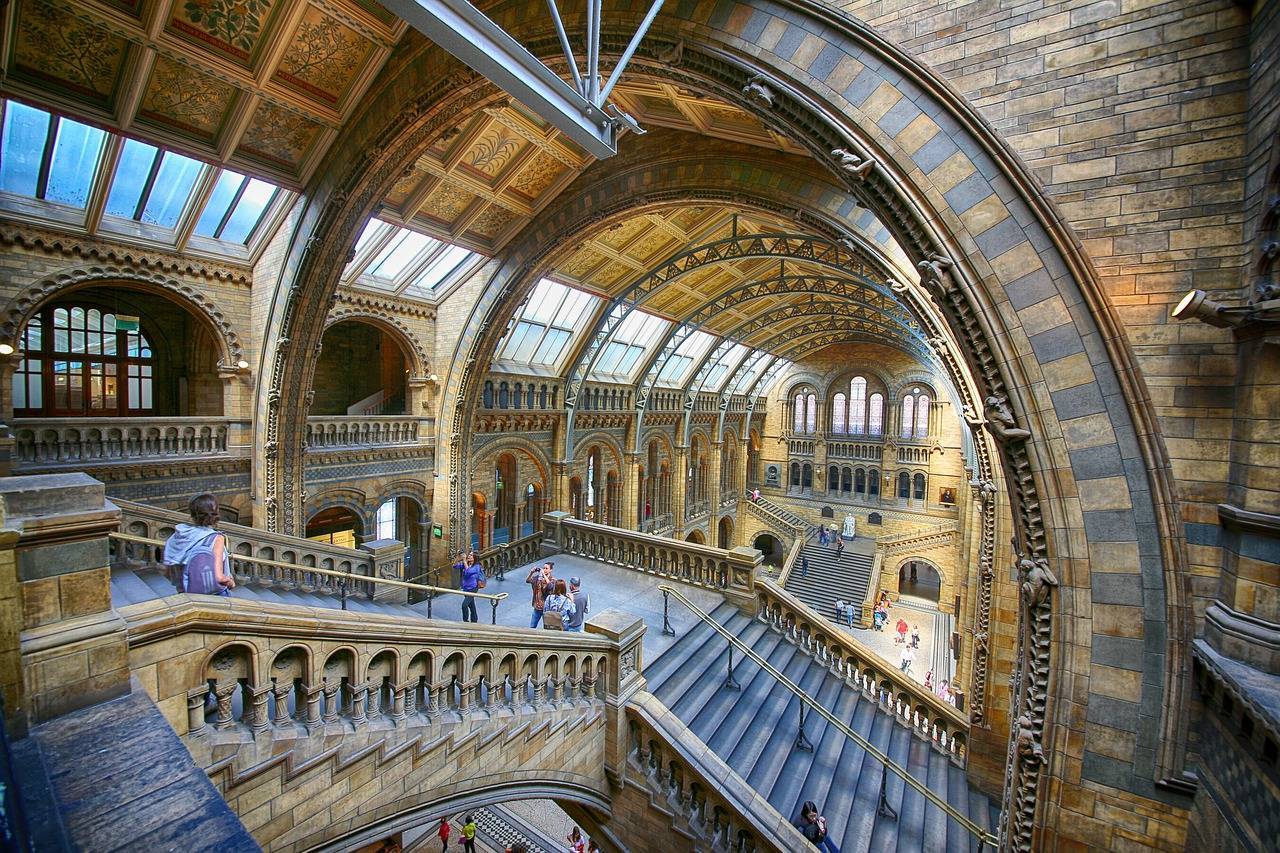 Музей естественной истории в лондоне
