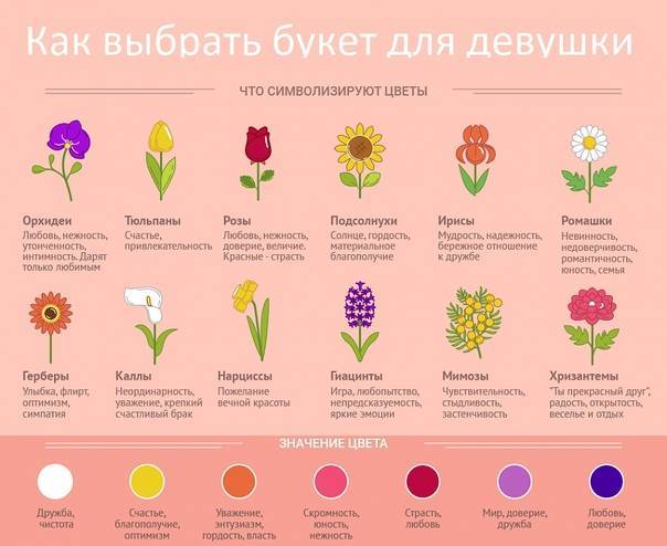 Какие цветы подарить девушке или женщине по поводу и без