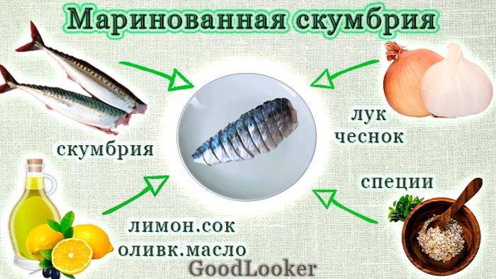 Скумбрия — что это за рыба, чем она полезна и как ее готовить?
