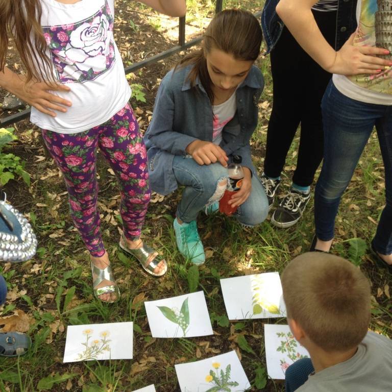 Внеклассные мероприятия по экологии в начальной школе