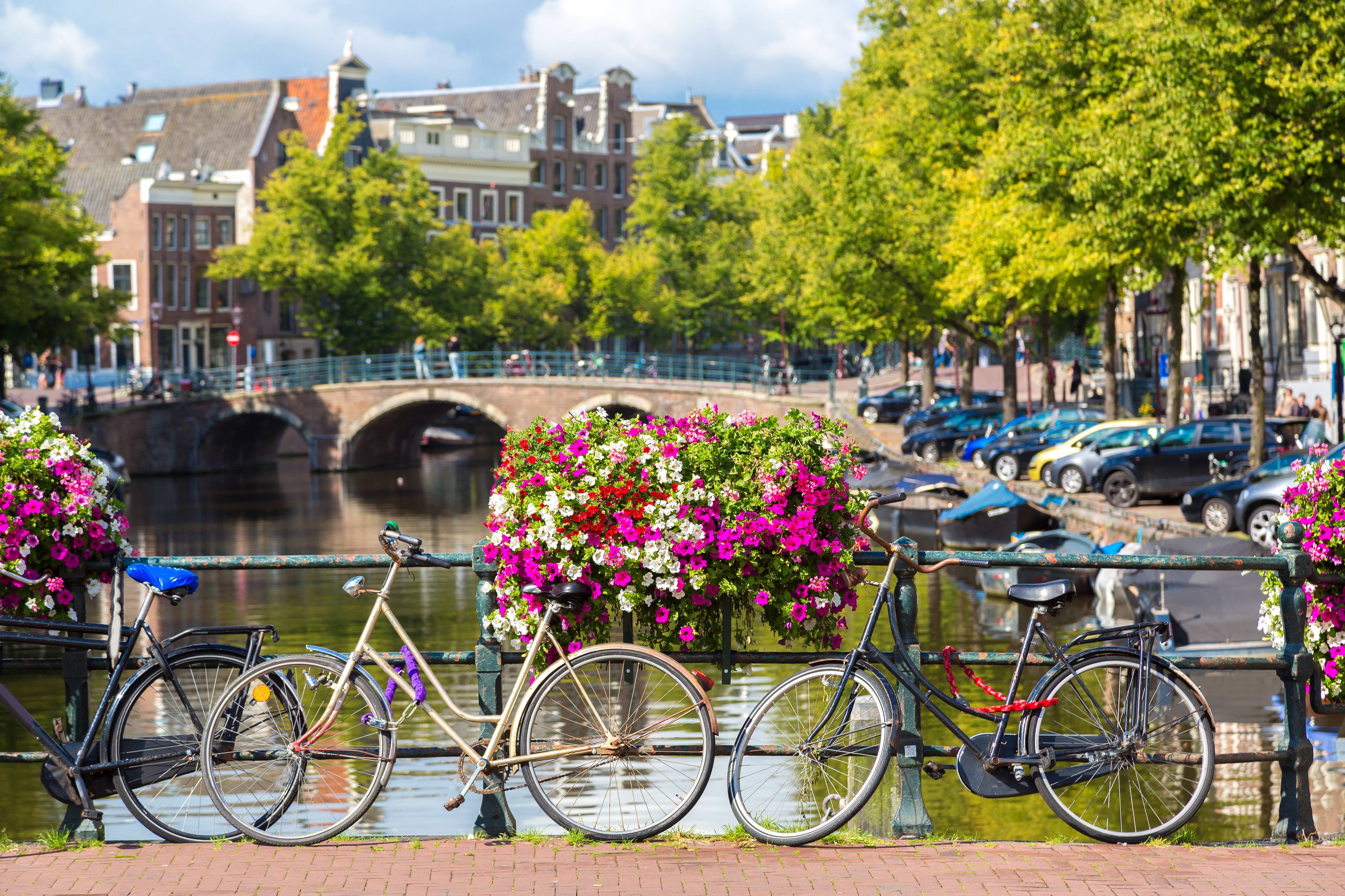 Топ 30 — памятники амстердама