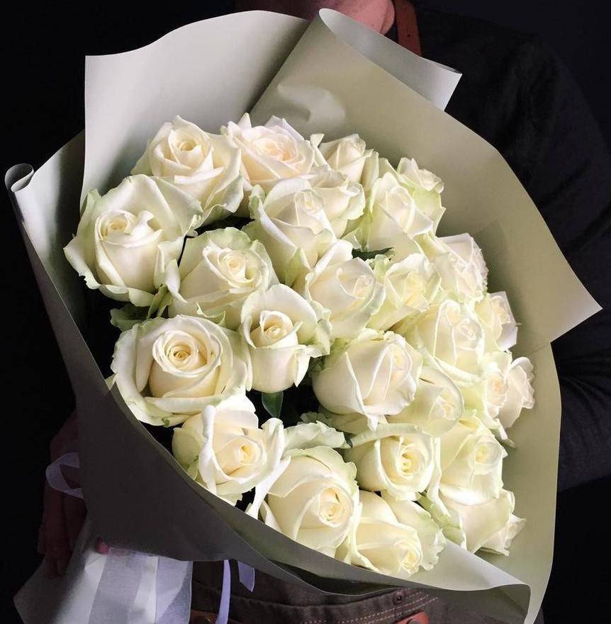 Что означают белые розы и к чему их дарят