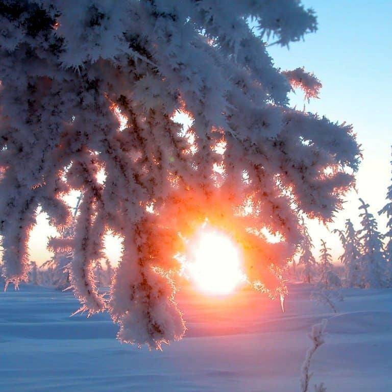 День зимнего солнцестояния. солнцеворот. астрономический новый год и повод для волшебства