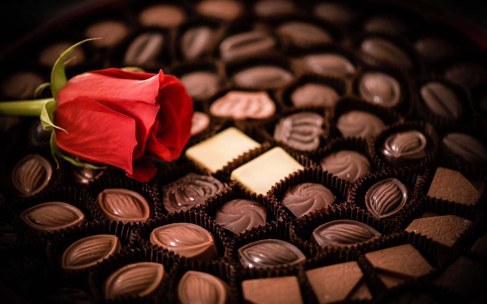 Всемирный день шоколада. когда отмечают, история праздника, приметы | кто?что?где?