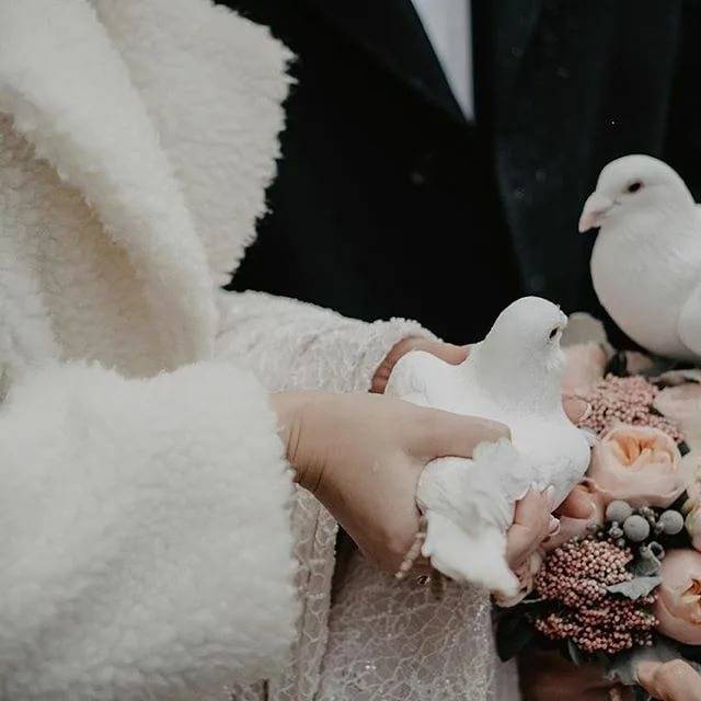 Стихи голуби на свадьбе - сборник красивых стихов в доме солнца