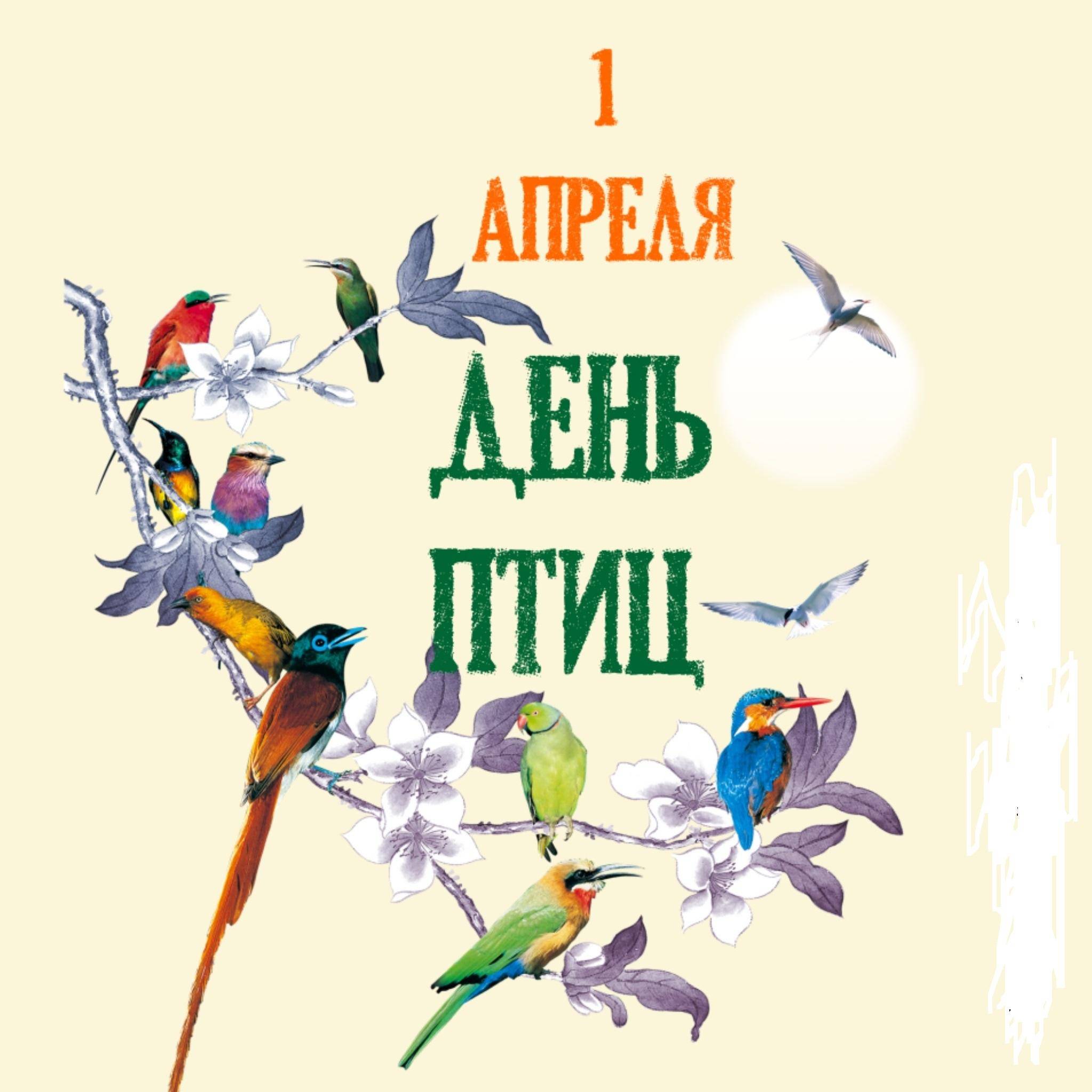 Праздник «международный день птиц»