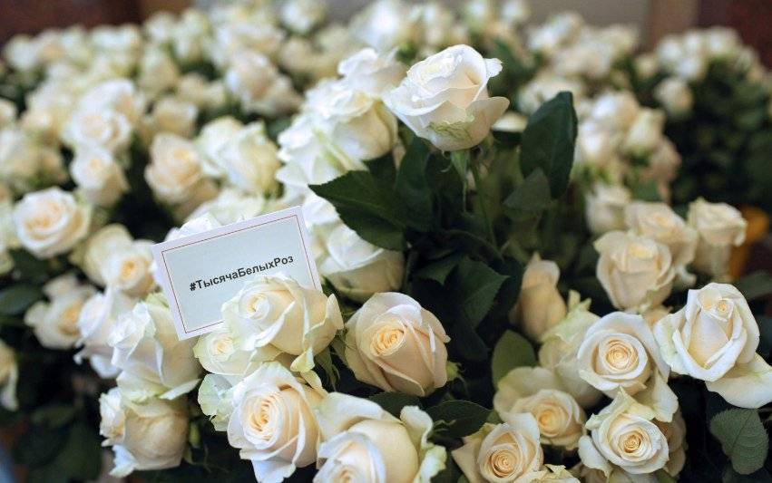 Что означает белая роза на языке цветов? :: syl.ru