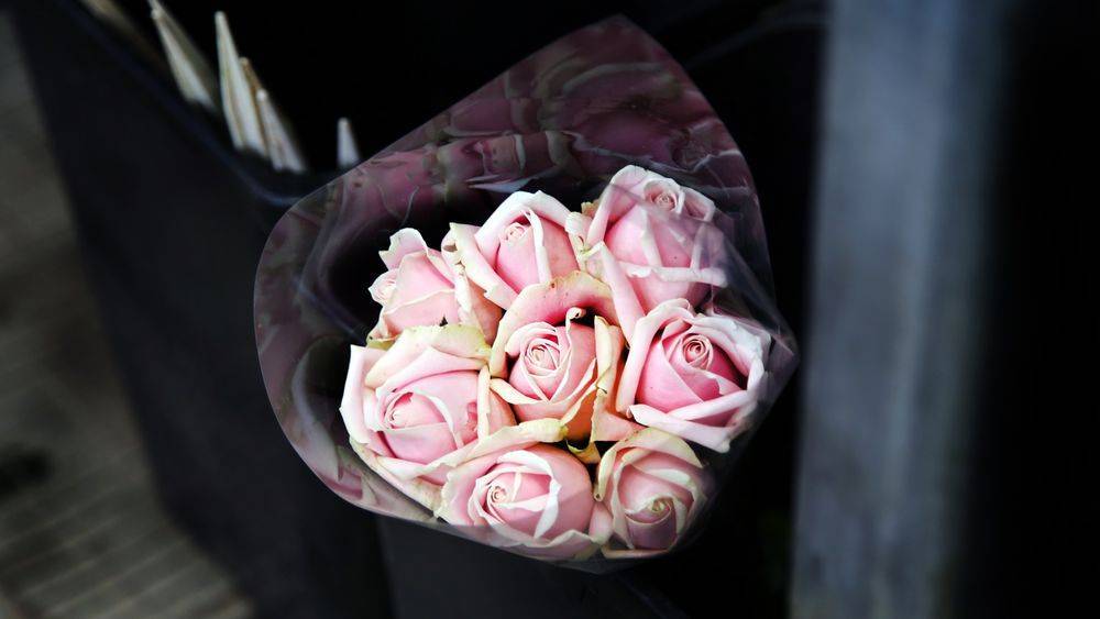 Бордовые, персиковые, нежно-розовые, красные розы — что означают их цвета