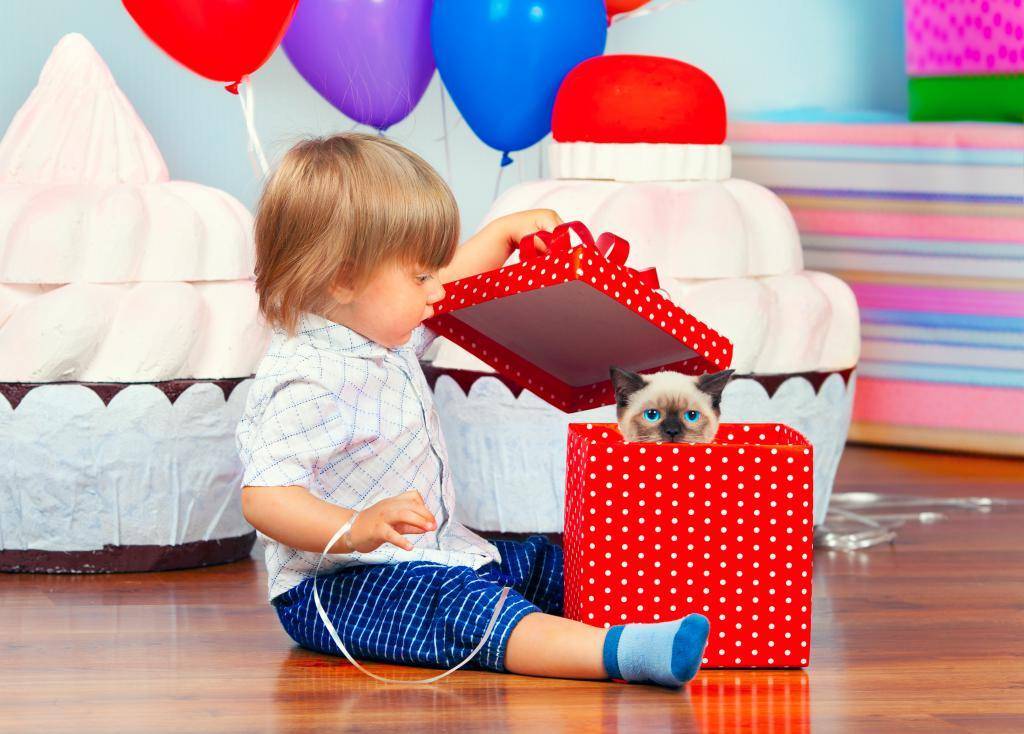 Что подарить мальчику на 2 года на день рождения