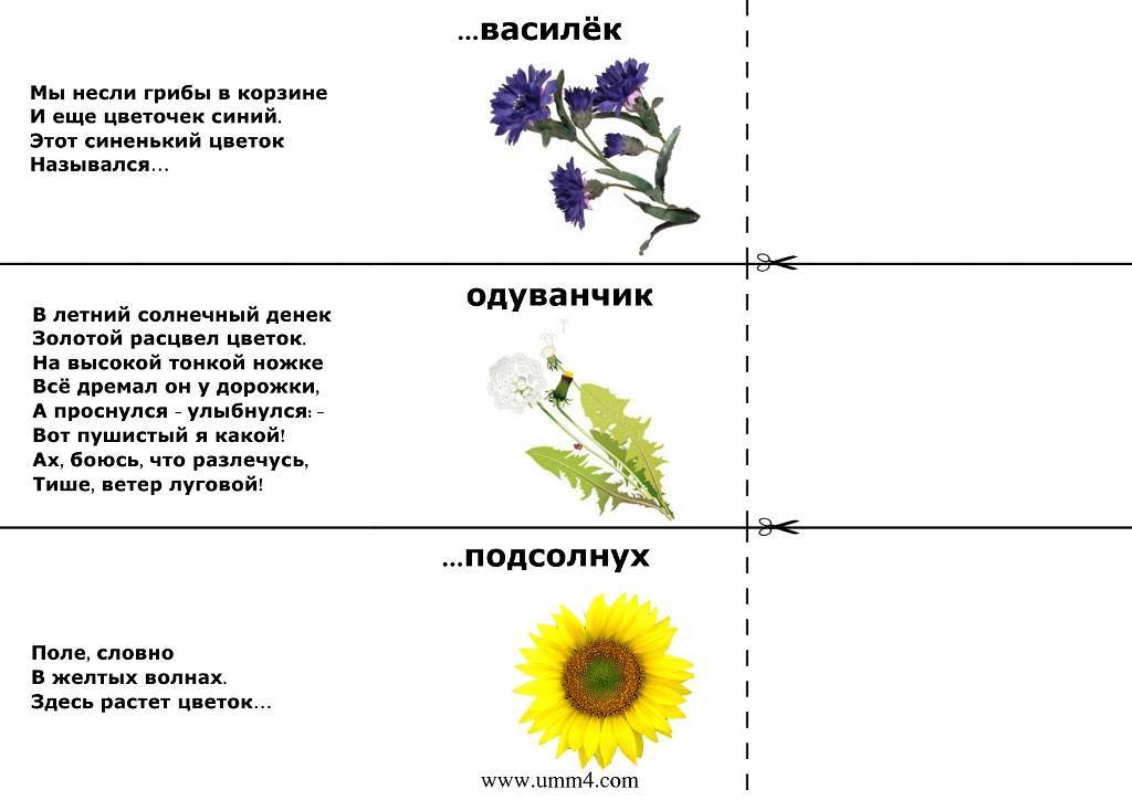 Загадки про цветы - подготовка к школе и развитие речи для детей мама7я