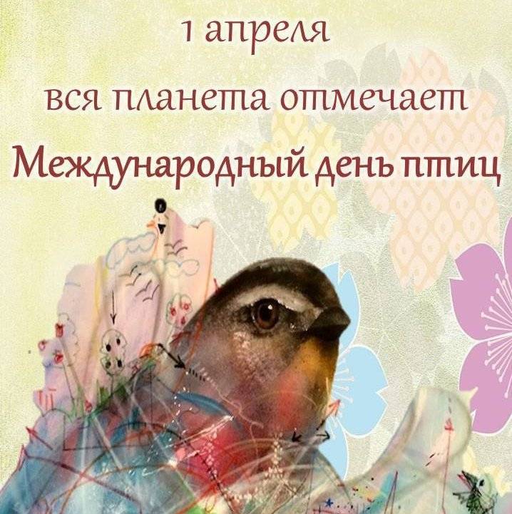 1 апреля международный день птиц в детском. День птиц. Международный день птиц. 1 Апреля день птиц. Международный день птиц картинки.