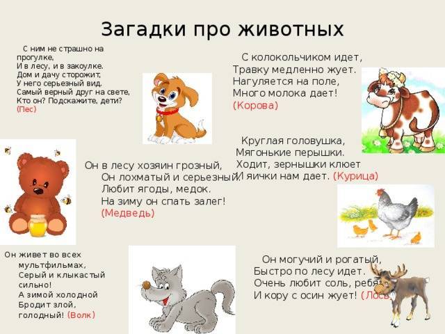 Загадки про домашних животных для детей ???? - детям и родителям
