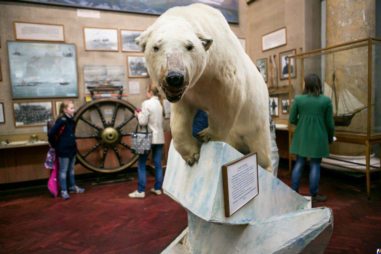 Музей арктики и антарктики