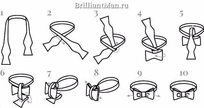 Как завязать галстук бабочку: схема, пошаговая инструкция и видео