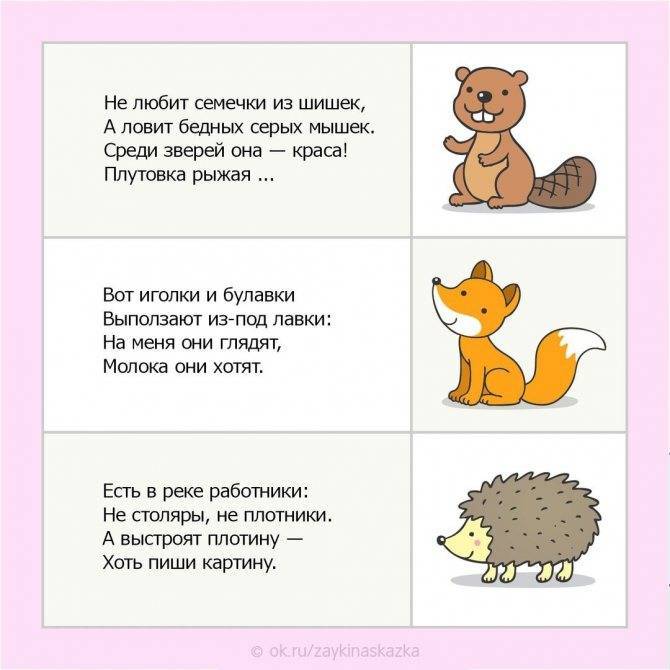 Загадки про животных для детей с ответами