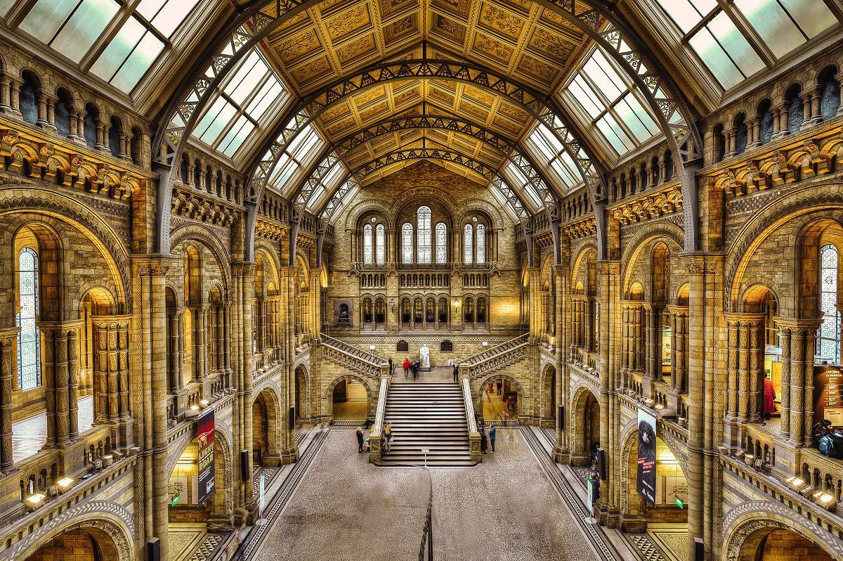 Музей естественной истории (естествознания) в лондоне - галерея