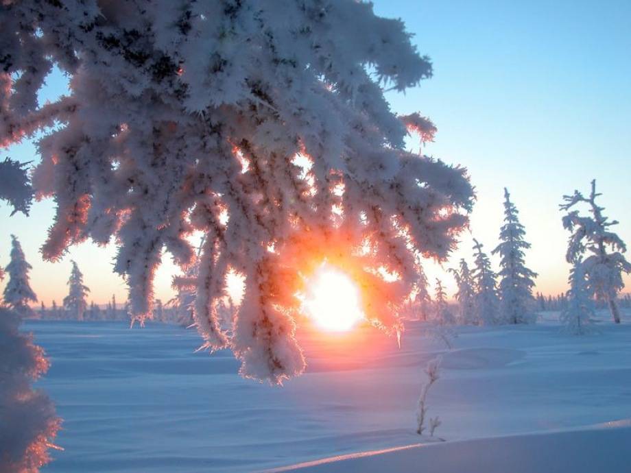 День зимнего солнцестояния и момент зимнего солнцестояния земли 21 декабря 2021 18:59 msk
