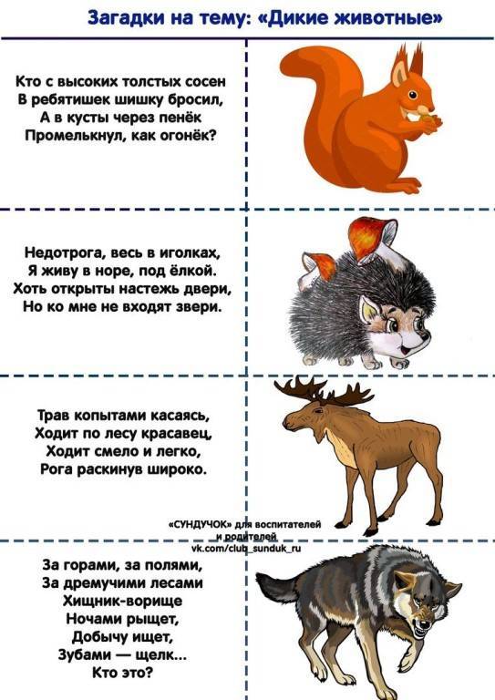 Загадки про животных для детей 6-7 лет с ответами